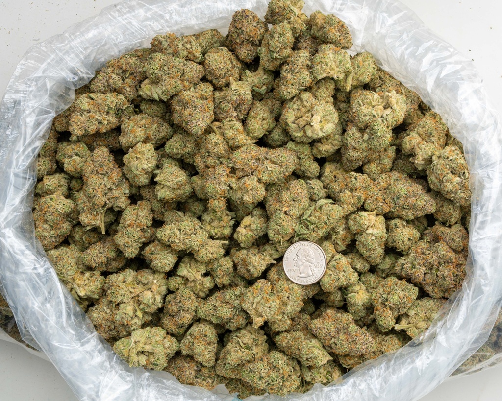 Apple Sherbet Indoor -BAG- 072825 20250725FVSOB.webp