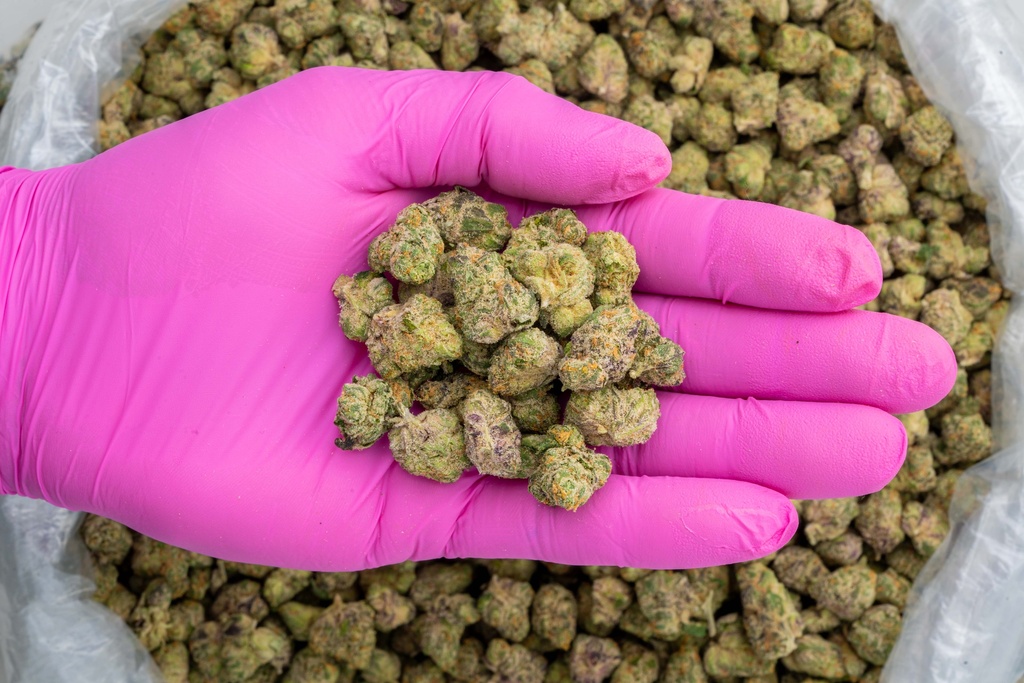 Strawberries & Cream Popcorn -PINK- 100225.webp