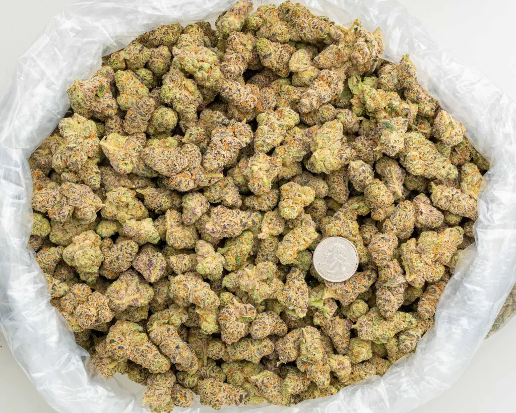 Glitter Bomb -BAG- 100225.webp