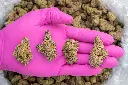 Glitter Bomb -PINK- 100225.webp