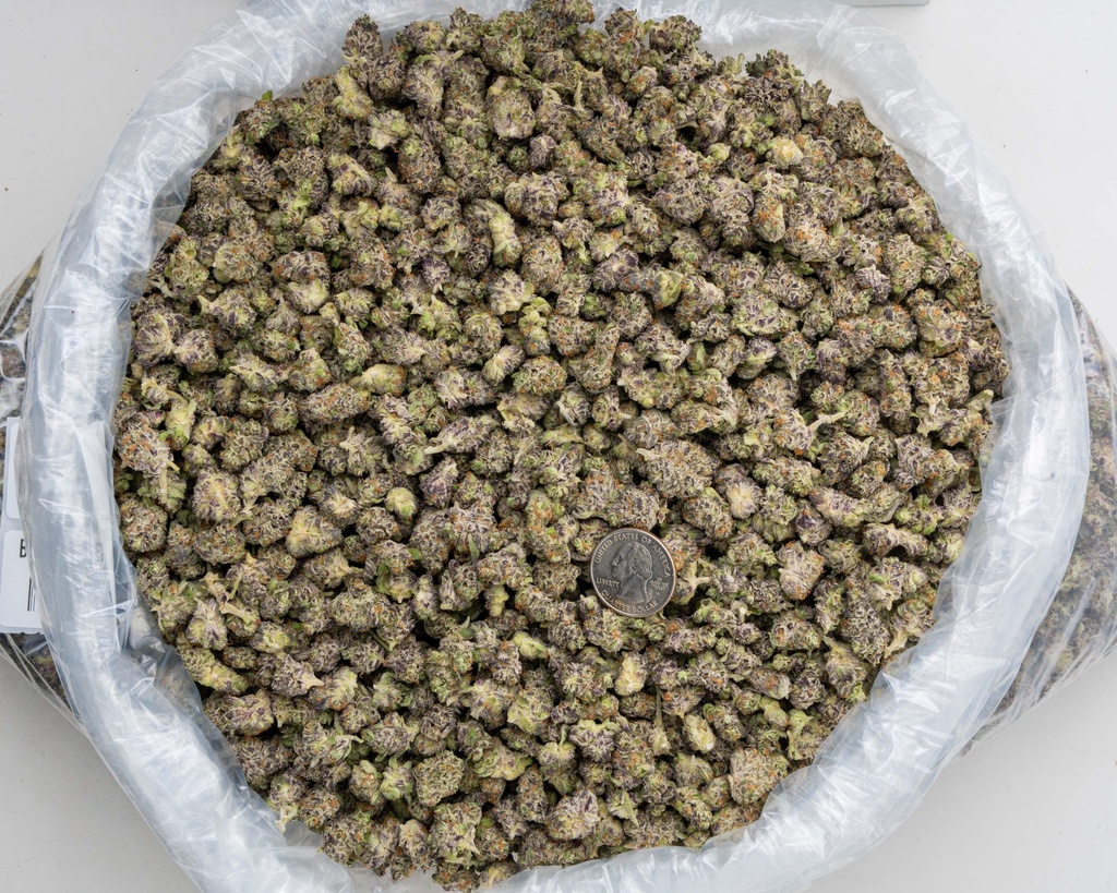 Black Runtz Indoor Smalls -BAG- 110725.jpg