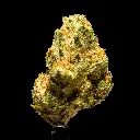 Kept Secret -FLOAT- 092925.webp