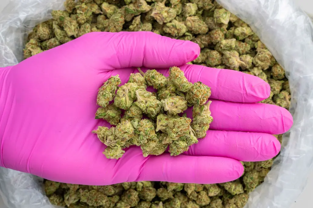 Kept Secret -PINK- 092925.webp