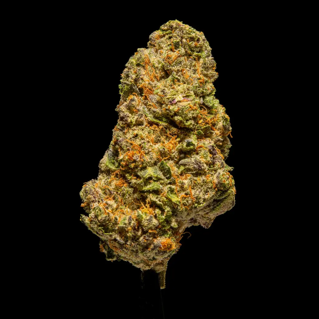Purple Certz -FLOAT- 092925.webp