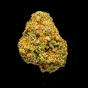 Orange Creamsicle -FLOAT- 092925.webp