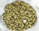 Blackberry Caviar Indoor -BAG- 101025.webp