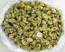 Lemon Cherry Gelato Indoor -BAG- 101025.webp