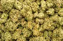 Kush Crasher