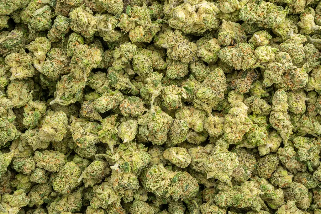 LA Pop Rocks Indoor Mediums