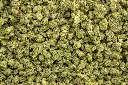 LA Pop Rocks Indoor Smalls