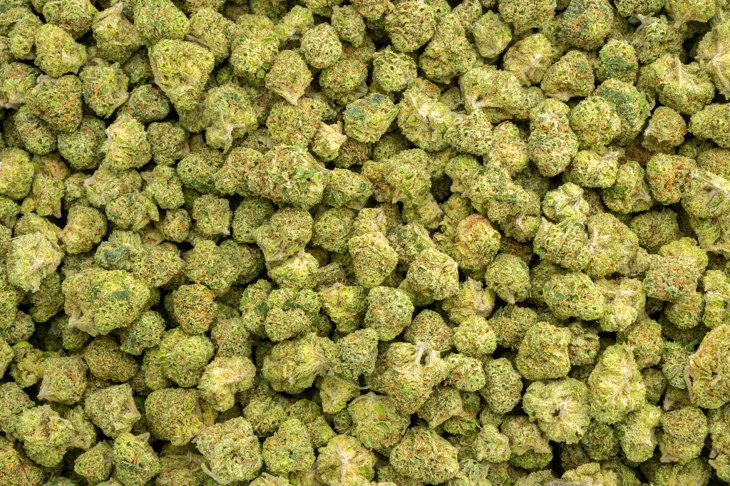 Mafia Funeral Smalls