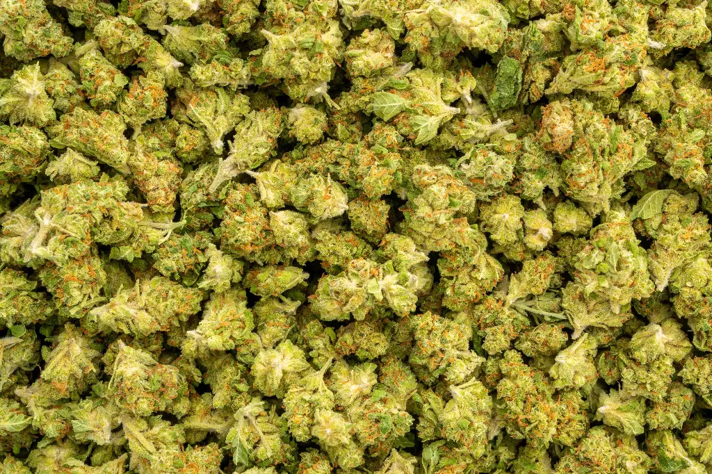 Mango Afghani Smalls