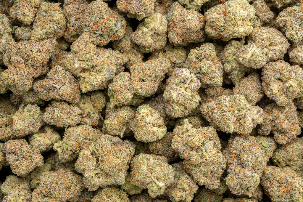 Nuclear Slurpee Indoor