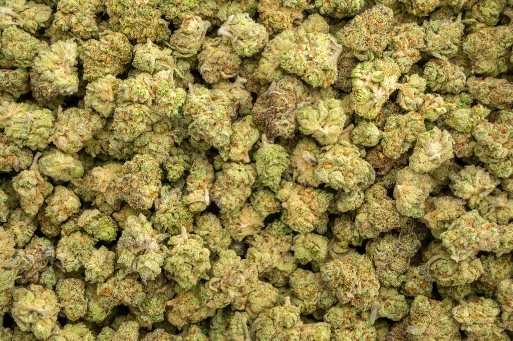 Oreoz Indoor Smalls