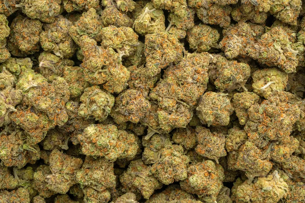 Permanent Marker Indoor