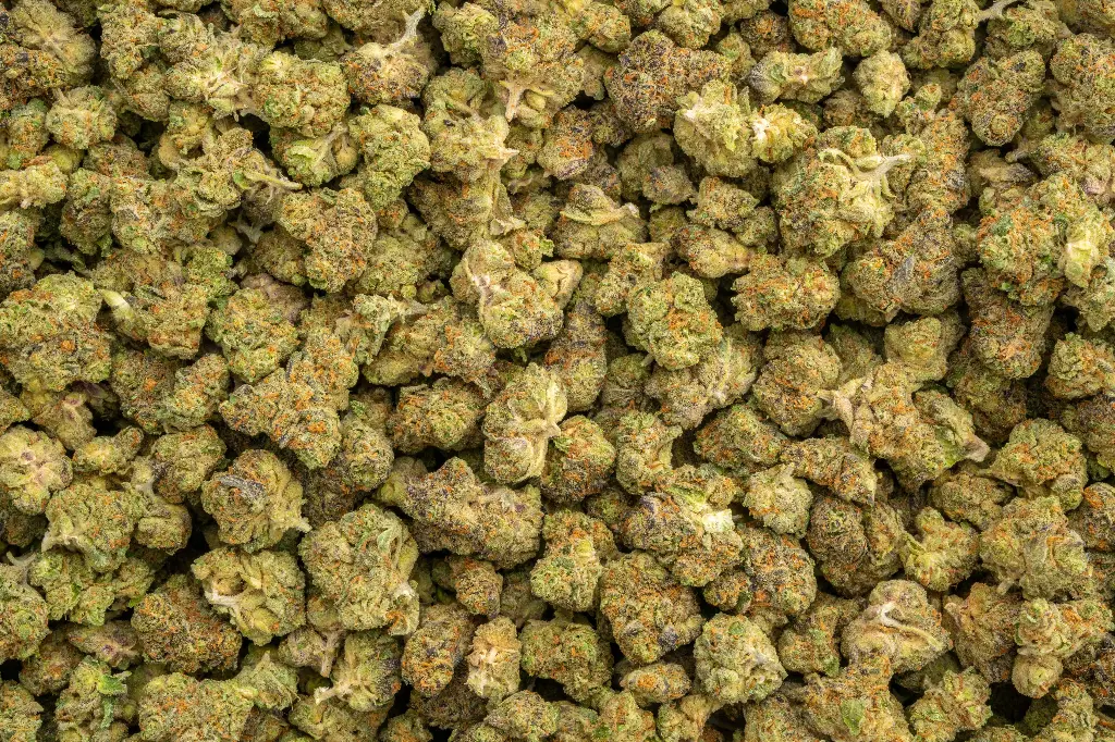 Permanent Marker Indoor Smalls