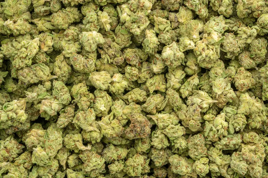 Purple Champagne Smalls