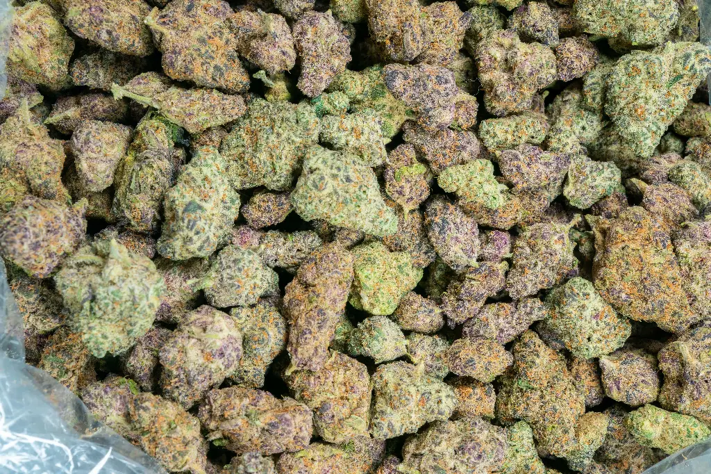 Purple Cream