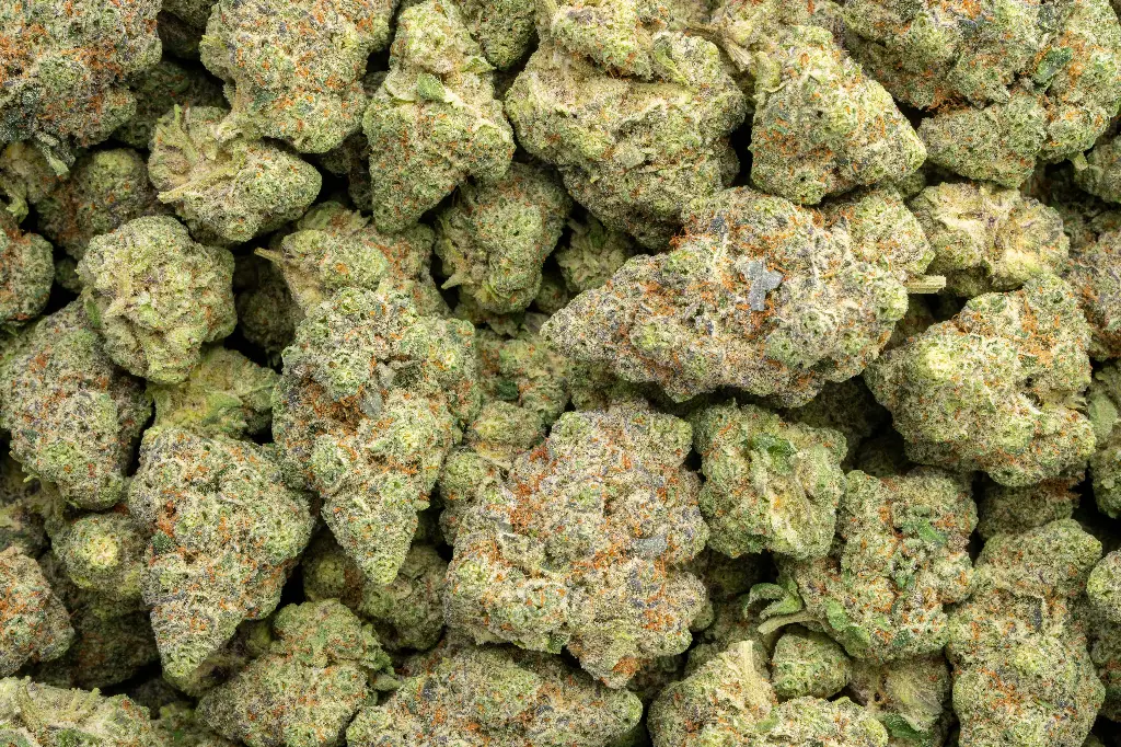 Singapore Sling Indoor