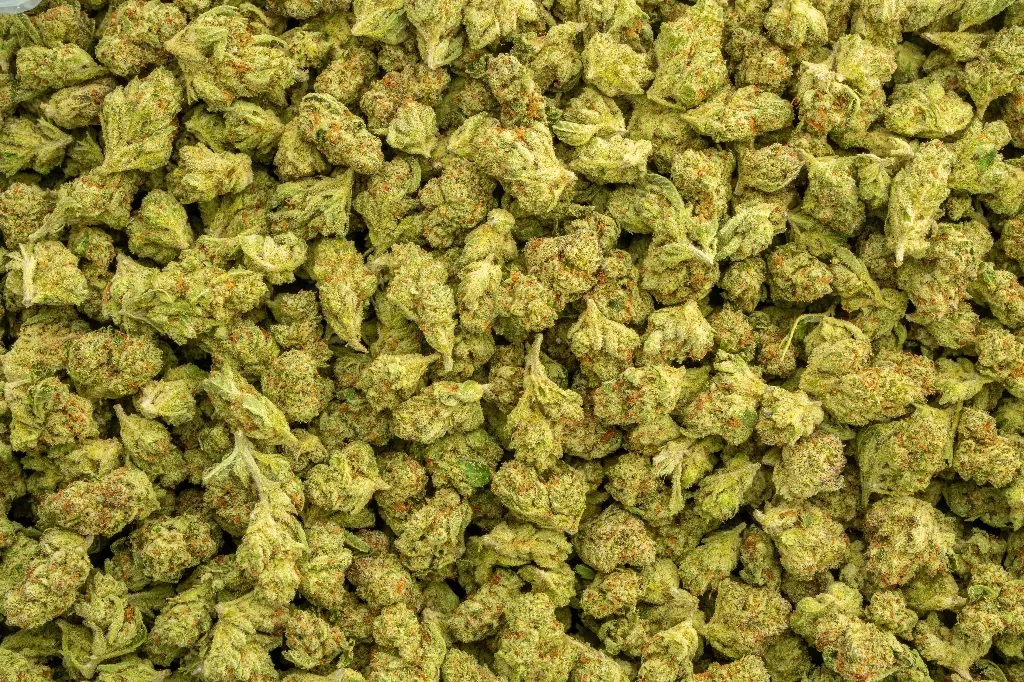 Sour Kush Breath Smalls