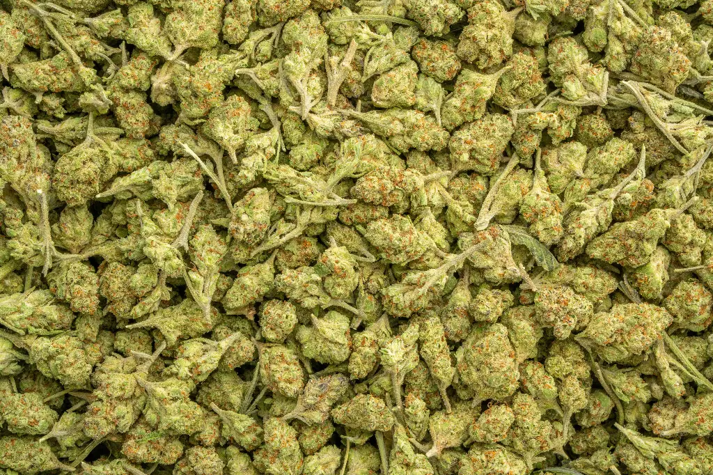 Sour Patch Candy Smalls