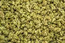 Sour Patch Candy Smalls