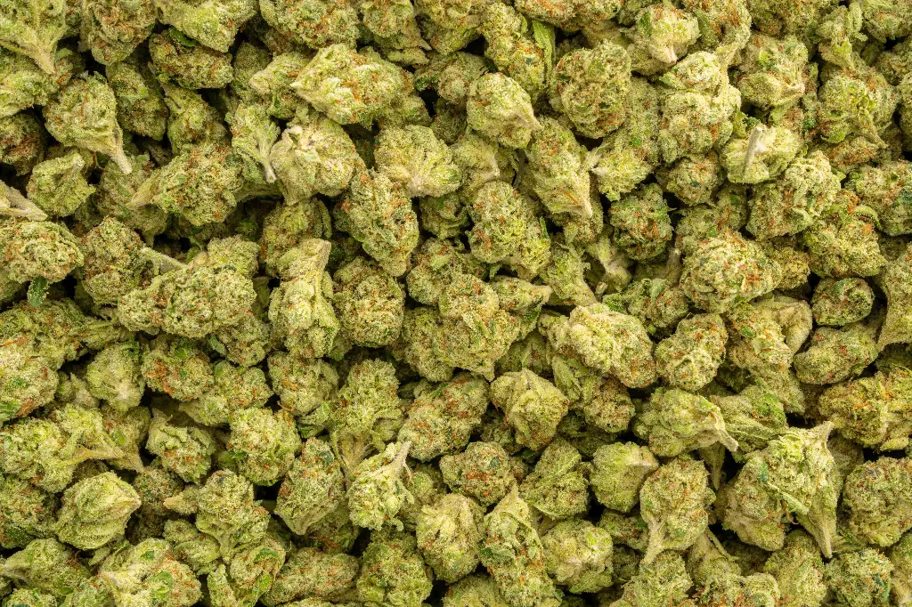 Starburst Smalls