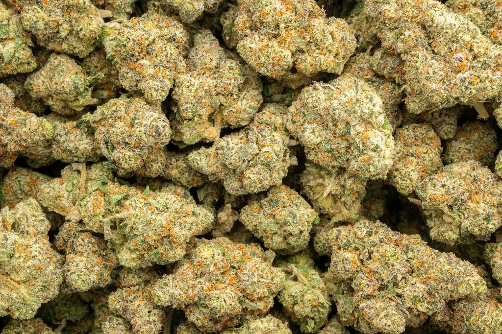 Sweet Tea Indoor