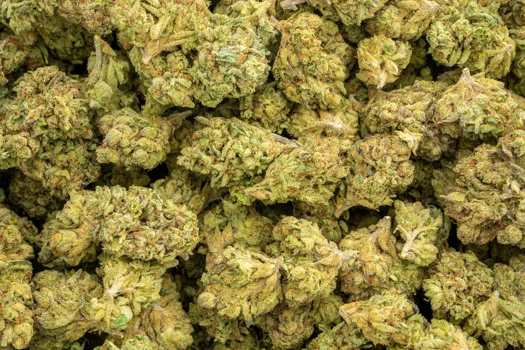 Triple Cheese