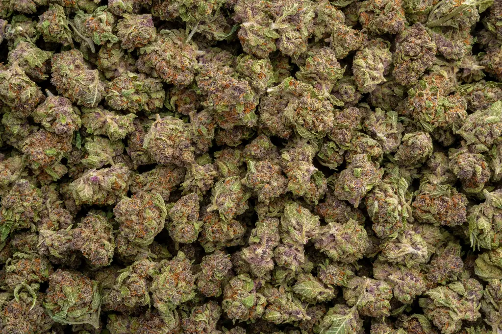 Tropicana Cherry Smalls