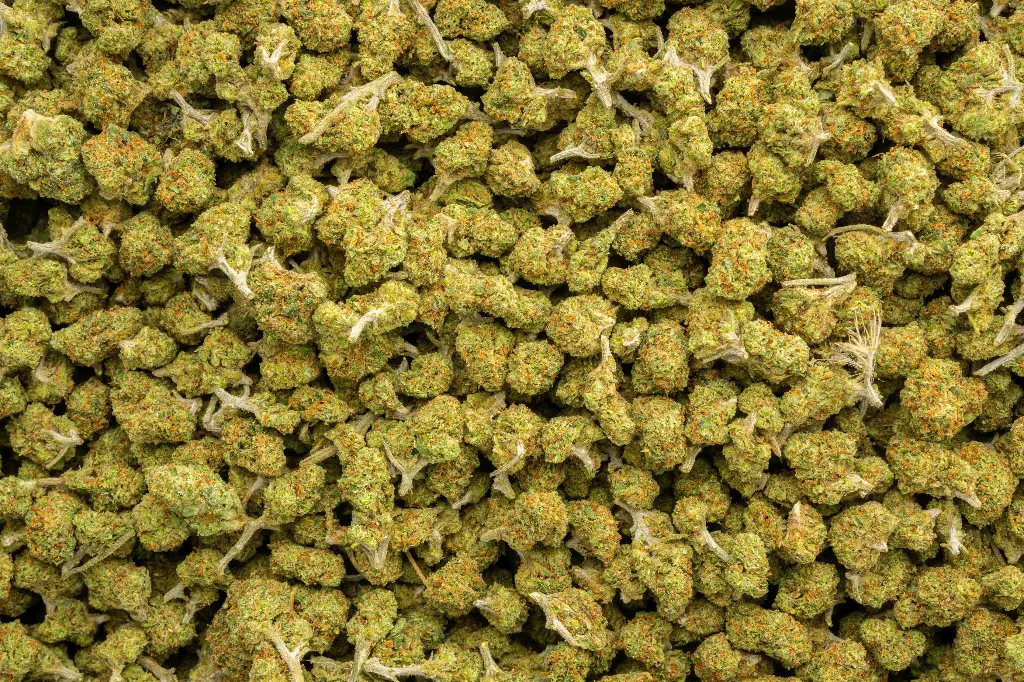 Vanilla Cookies Smalls