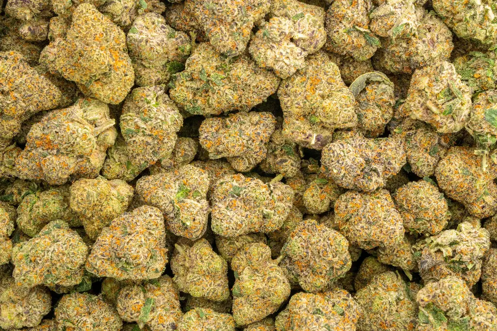 Walking In LA Indoor