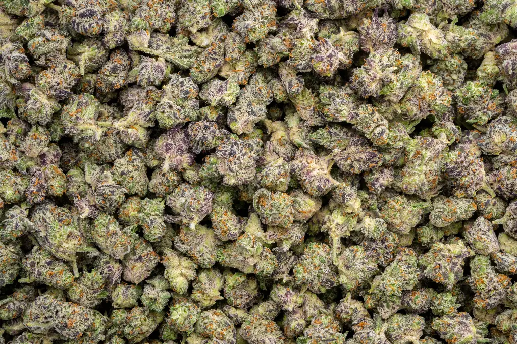 White Truffle Indoor Smalls