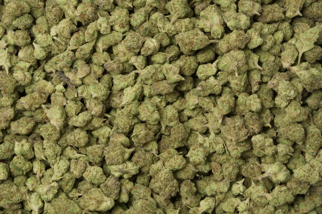 Zoreos Smalls