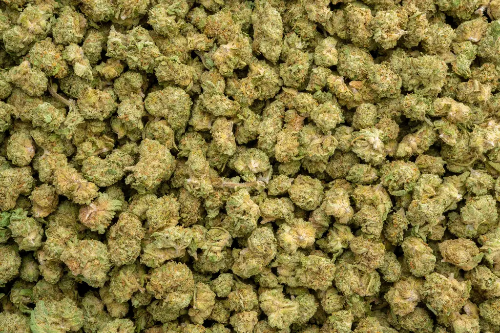 Banana Nose Candy Smalls