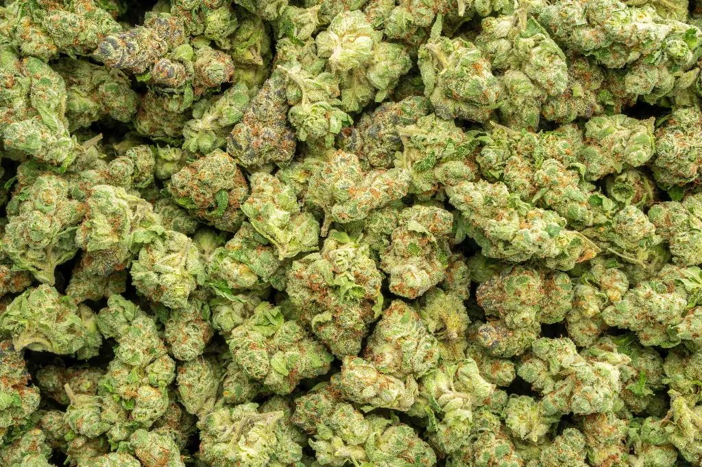 Cherry Popperz Indoor Mediums