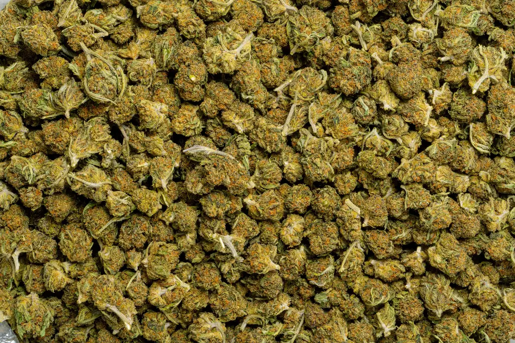 Berry Pie Smalls (CBD)