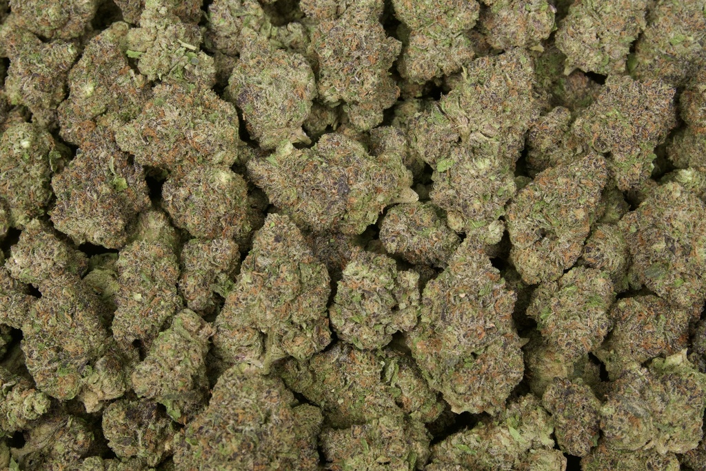 Wonka Candy Indoor