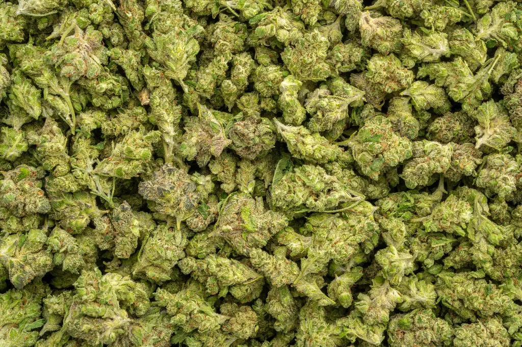Black Cherry Cheesecake Indoor Smalls