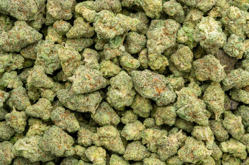 Singapore Sling Indoor Smalls