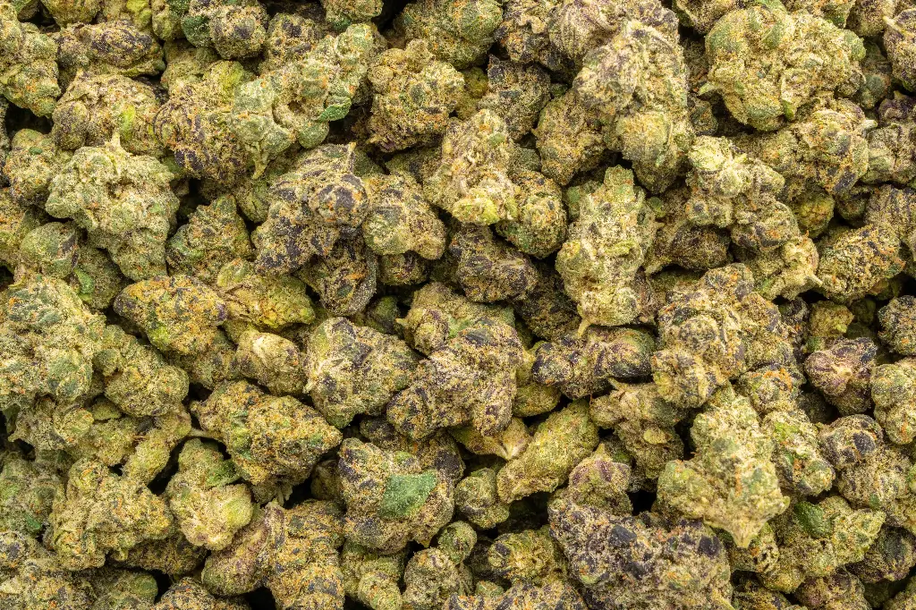 Vice City Runtz Indoor Smalls