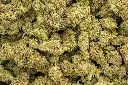Blue Cherry Gelato