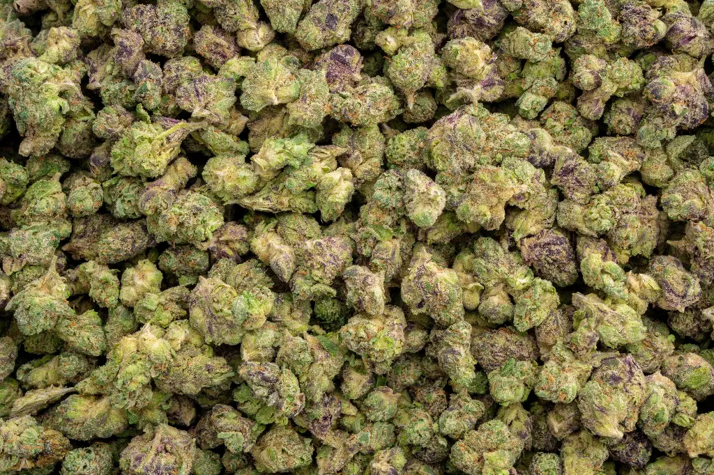 Lipsmackerz Indoor Smalls