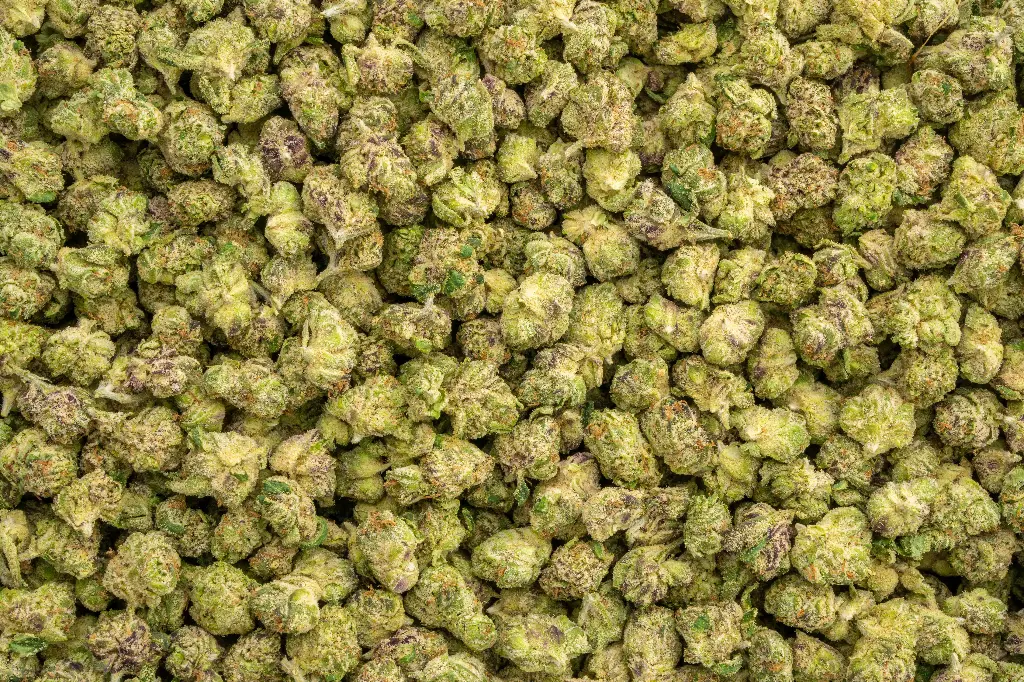 Gummiez Indoor Smalls