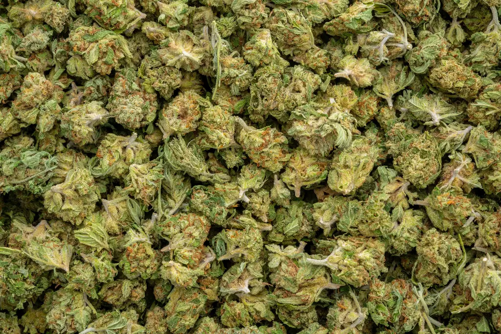 Tuscan Gelato Smalls