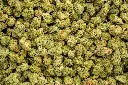Tuscan Gelato Smalls