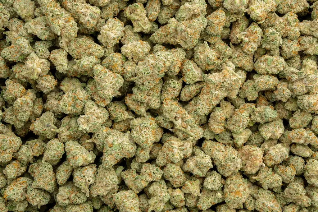 Frosted Freak Indoor Smalls