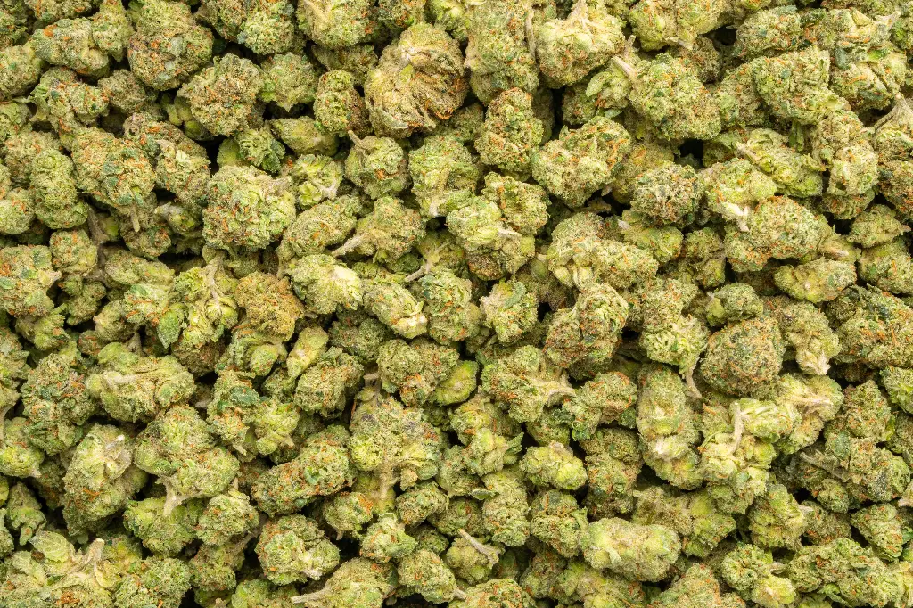 Super Runtz Indoor Smalls