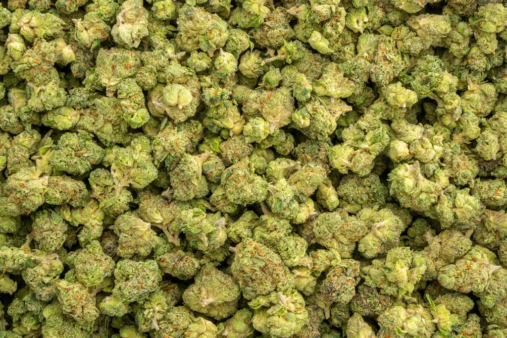 Super Runtz Indoor Smalls