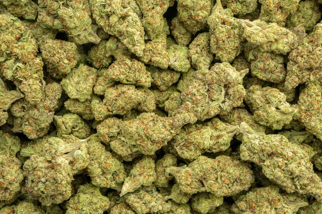 Sour Patch Candy Indoor